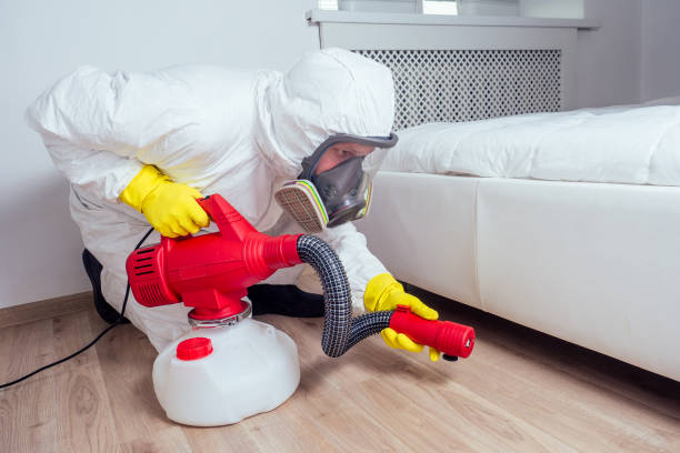 Best Affordable Pest Control Services  in Crest View Heights, NY