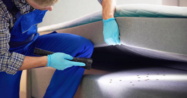 Best Pest Control Near Me  in Crest View Heights, NY