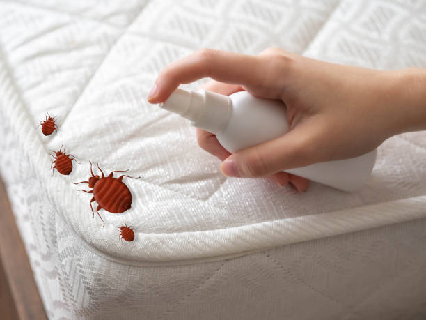 Best Residential Pest Control  in Crest View Heights, NY