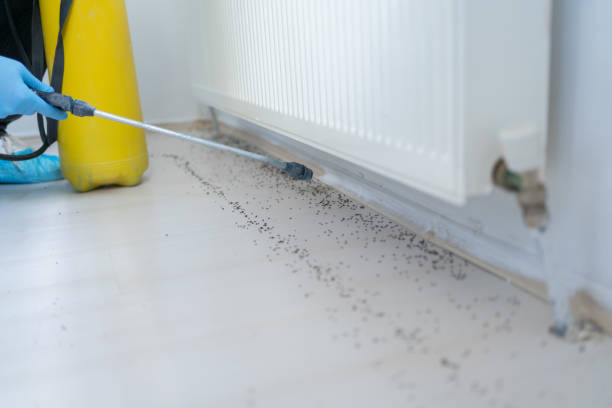 Best Wildlife Control Services  in Crest View Heights, NY